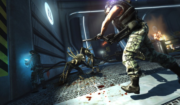 图片[2]_异形：殖民军（Aliens: Colonial Marines Collection）_大玩家GAMES