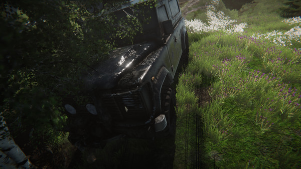 图片[1]_终极越野模拟器2019：阿拉斯加 Ultra Off-Road 2019: Alaska 简体中文免安装版_大玩家GAMES