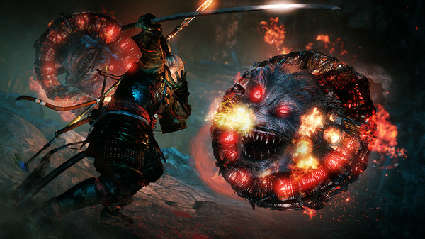 图片[2]_仁王1：年度完整版（Nioh）整合DLC_大玩家GAMES