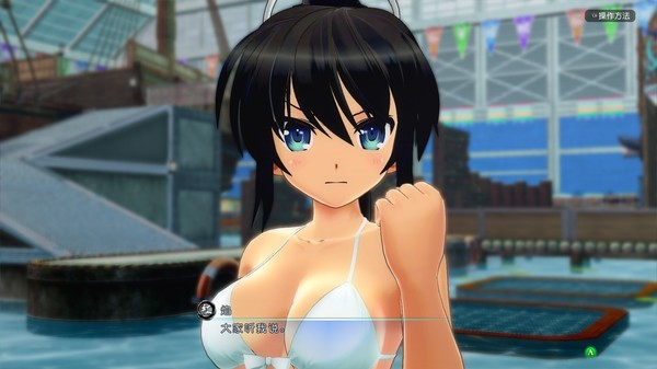 图片[1]_闪乱神乐：沙滩戏水 免安装v1.08豪华全DLC绿色中文版_大玩家GAMES