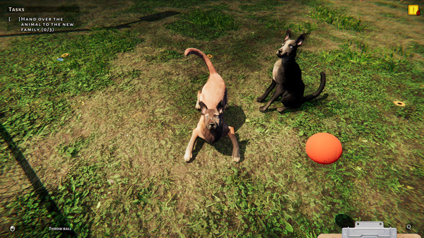 图片[3]_动物庇护所（Animal Shelter: Prologue）集合马匹之家DLC_大玩家GAMES