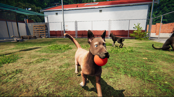 图片[2]_动物庇护所（Animal Shelter: Prologue）集合马匹之家DLC_大玩家GAMES